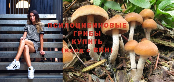 круглые Верхний Тагил
