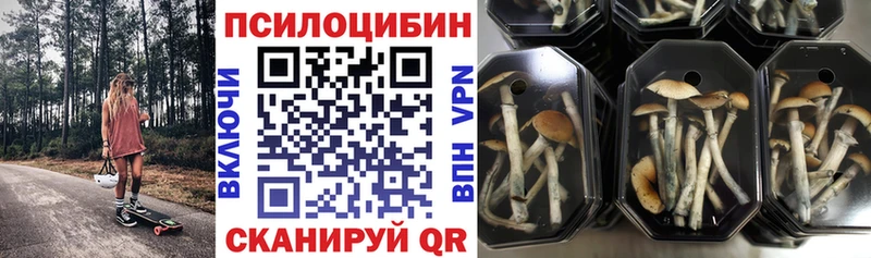 Псилоцибиновые грибы Psilocybine cubensis  Волхов 