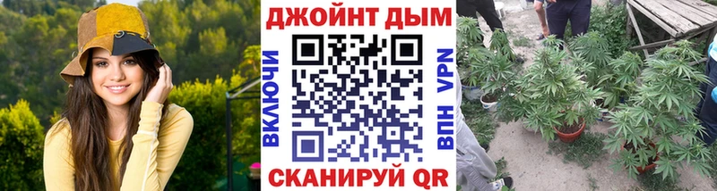 Бошки марихуана сатива Волхов